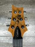 Paul Reed Smith Custom 24 Limited - Blue Fade Used