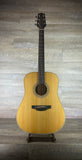 Takamine GD20 NS - Dreadnought Acoustic Guitar