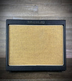 Tech 21 Trademark 10 (TM10) 10-Watt 1x8" Combo Amp - USED