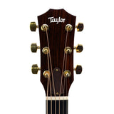 Taylor 516ce LTD Fall Limited Edition - 2011 - Pre-Owned / Used