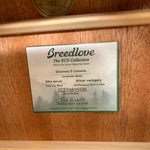 Breedlove Eco Discovery S Concerto