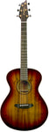 Breedlove Oregon Concert - Earthsong Myrtlewood LTD